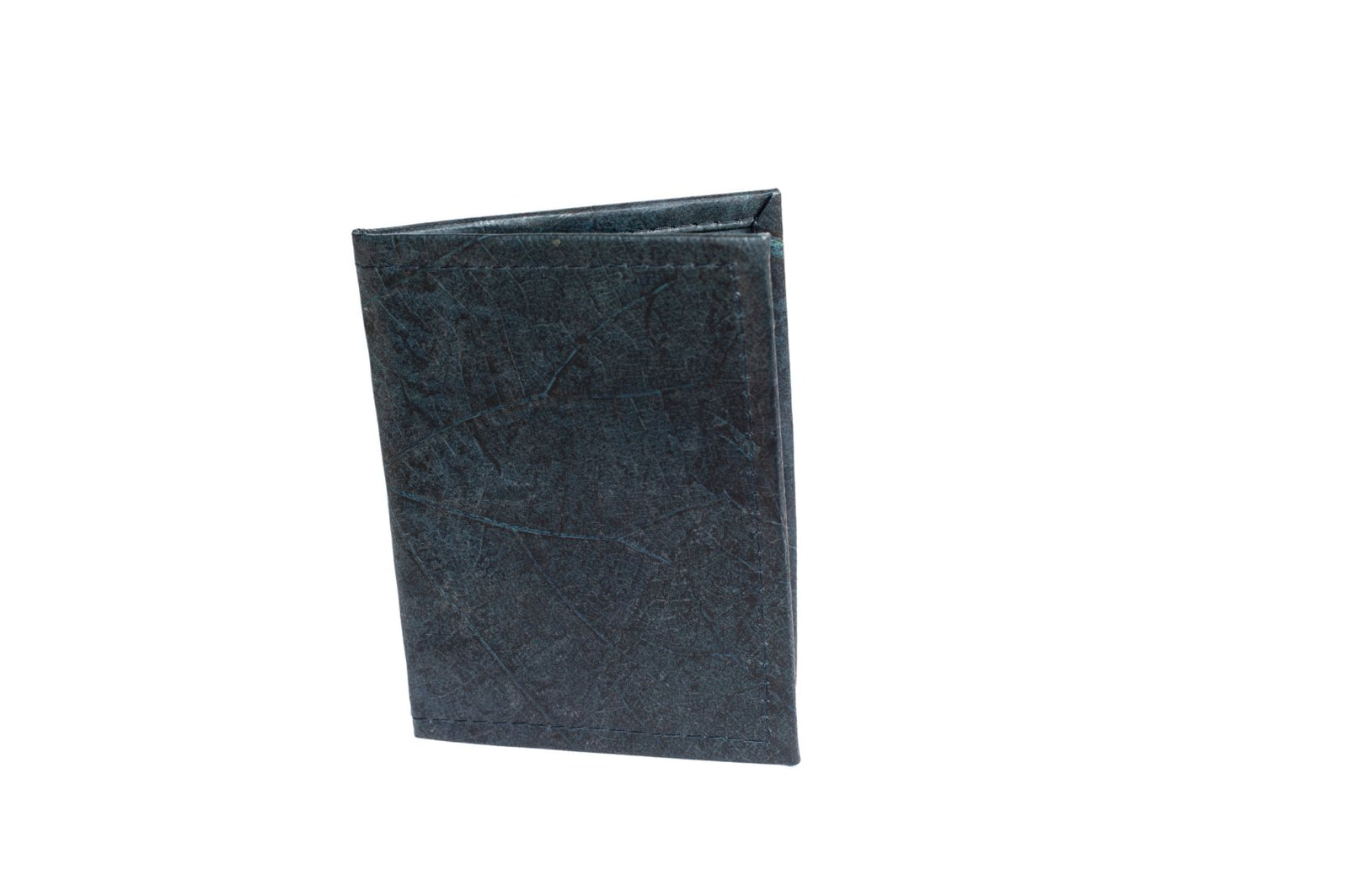 Blue Passport Holder-Karuna Dawn-stride