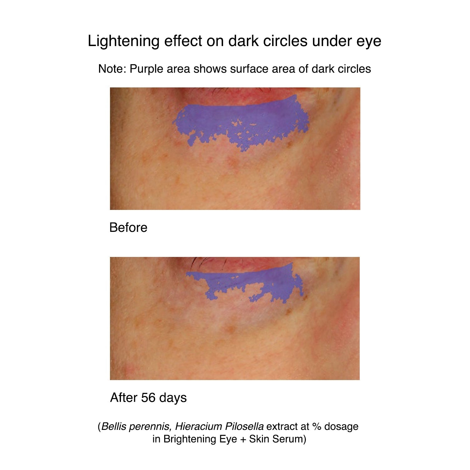 Brightening Eye + Skin Serum-Clemence Organics-stride